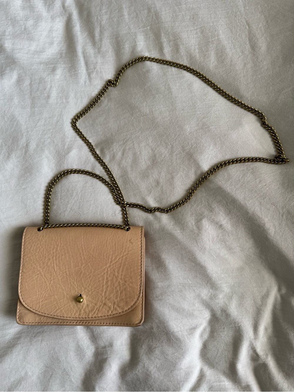 Madewell Blush Mini Leather Crossbody with Gold Chain